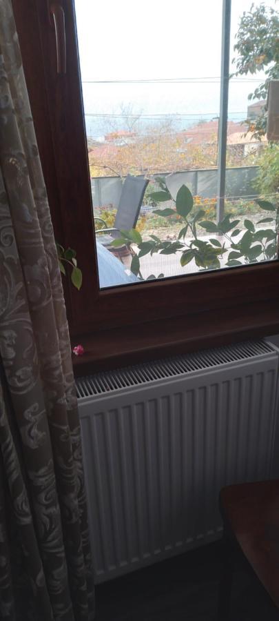 Apartment Giorgi In سينغناغي المظهر الخارجي الصورة