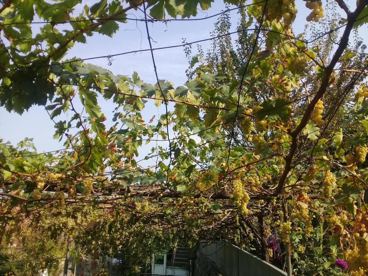 Apartment Giorgi In سينغناغي المظهر الخارجي الصورة