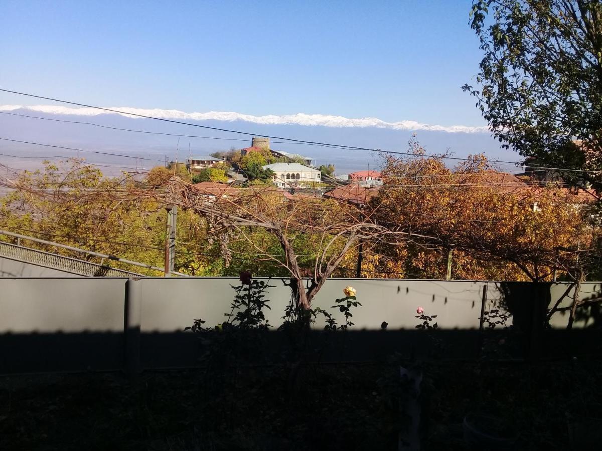 Apartment Giorgi In سينغناغي المظهر الخارجي الصورة
